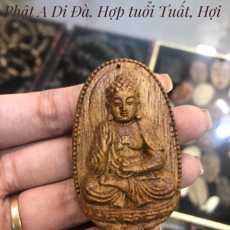 phat-adida-tuoi-tuat-hoi